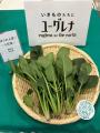 ユーグレナのアグリ事業、家庭向けの製品・生産物流通