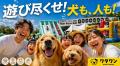 【大阪・岸和田】WHATAWONに新巨大エア遊具『MJMJ』5