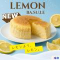 【初夏限定】熊本のチーズケーキ専門店：白い貴婦人よ