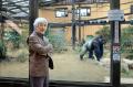 『サライ』最新号は、「新しい動物園と水族館の歩き方