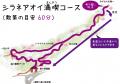 ”山野草の女王”シラネアオイまもなく見頃！「シラネア