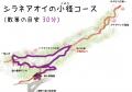 ”山野草の女王”シラネアオイまもなく見頃！「シラネア