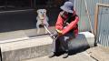 ＩＲＯ公認国際救助犬試験　２日目終了