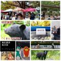 【兵庫・西宮】「環境保全と衣食住」をテーマにutf-8