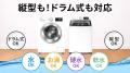 【日本初上陸】洗濯槽のカビ臭・水垢に“ポン”と入れる