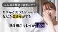 【日本初上陸】洗濯槽のカビ臭・水垢に“ポン”と入れる