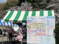 【町田市×ゼロプレイス】「2026町田さくらまつり」お