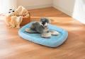 記録的猛暑が続く夏、眠りの専門家が示す“快眠の新常