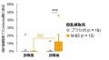 ヒトのビフィズス菌M-63が離乳期以降の乳幼児において