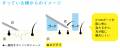 世界初！※1 なでるようにそれる！カミソリ「なでそり(