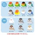 【koborebi】小さな羽も、大切な思い出に。40種類の小 【koborebi】小さな羽も、大切な思い出に。40種類の小