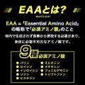 【TikTok Shop先行販売！】THE PROTEIN（通称：ザプロ