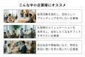 「中小企業にもアートの力を。」200社以上のオフィス