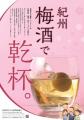 “梅王国”和歌山で季節の梅酒と梅ドリンクを味わう「梅