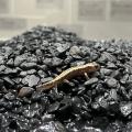 AOAO SAPPOROが包括連携協定を締結する、北海道標茶町 AOAO SAPPOROが包括連携協定を締結する、北海道標茶町