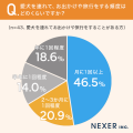 愛犬とのお出かけ、46.5%が「月1回以上」と回答!一方 愛犬とのお出かけ、46.5%が「月1回以上」と回答!一方