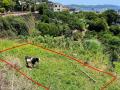 「草刈りヤギちゃん」除草実績を公開