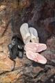 BIRKENSTOCKの人気モデルGIZEH。時代を超えて愛される