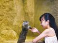 【DMMかりゆし水族館】2026年ゴールデンウィークの入 【DMMかりゆし水族館】2026年ゴールデンウィークの入