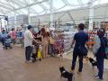 愛犬と一緒に楽しめるコンテンツが充実の『GOGO DOG F