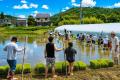 【福助ファーム：三田市】6月7日(日) 開催！“お米って