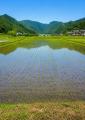 【福助ファーム：三田市】6月7日(日) 開催！“お米って