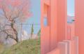 テレサ・フレイタス 写真展「Colour Matter(s)」