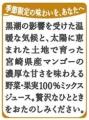 畑のめぐみを、未来に、ともに。「めぐみめぐるAction
