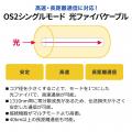 出っ張りを抑えるショートブーツを採用！10Gbps×長距