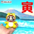 【DALULU】ダルル5月20日旅立ち開始！！ぬいぐるみキ
