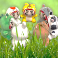 【DALULU】ダルル5月20日旅立ち開始！！ぬいぐるみキ
