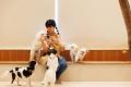 【MOFF新ブランド】待望の犬カフェ『Dog Cafe MOFF』