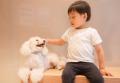 【MOFF新ブランド】待望の犬カフェ『Dog Cafe MOFF』