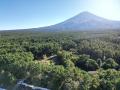 熱気球に乗って新緑の富士山を堪能！搭乗体験イベント