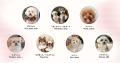 フォロワー1万人達成！「東京DOG SPOT」本格始動--神