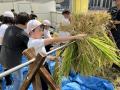 プレナス米文化継承活動 茅場町あおぞら田んぼプロジ