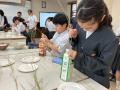 プレナス米文化継承活動 茅場町あおぞら田んぼプロジ