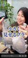 TikTok Shopで販売6,000枚以上突破*!CHARM MAKE BODY TikTok Shopで販売6,000枚以上突破*!CHARM MAKE BODY