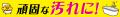 お掃除好きのキイロイトリ（リラックマ）とプロの洗浄