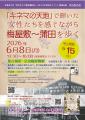 【再発掘・松竹蒲田撮影所の魅力】 「キネマの天地」