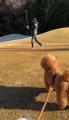 愛犬と過ごす“滞在型体験”を提案「メダリオン・ドッグ