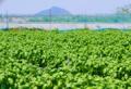 デニーズ 夏の大人気メニューが再び!
飯田商utf-8 デニーズ 夏の大人気メニューが再び!
飯田商utf-8