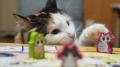 「かわいいのに、泣ける」と話題の『にゃん生すごろく