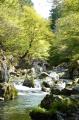 川を愛する仲間と味わいたいビール『BACK TO RIVER 20 川を愛する仲間と味わいたいビール『BACK TO RIVER 20