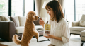愛犬と飼い主の時間を繋ぐ『INUMA』が11月始動(予定 愛犬と飼い主の時間を繋ぐ『INUMA』が11月始動(予定