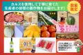 【日本発・土づくりの革命】園芸ファン熱狂の商品がギ