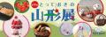 「第70回 とっておきの山形展」5月27日(水)より日本橋