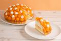 【ダッキーダック】2種のメロンを味わう贅沢「メロン
