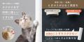 愛猫、城に住む。
くつろぎも、爪とぎも、遊びutf-8