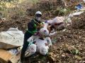海を守るために山へ。不法投棄や蓄積ごみに向き合う清